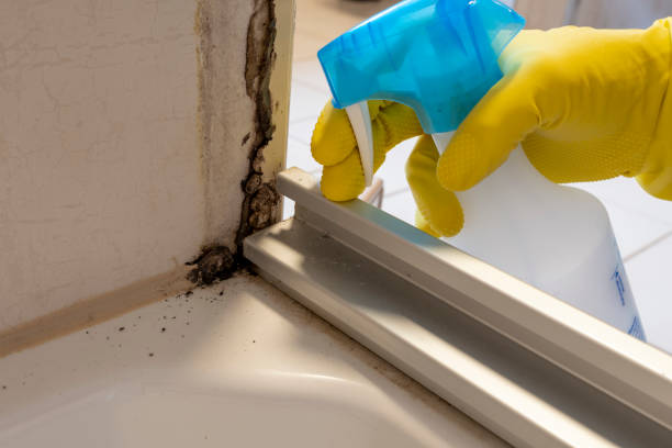 Office Mold Removal Services in Monticello, NY